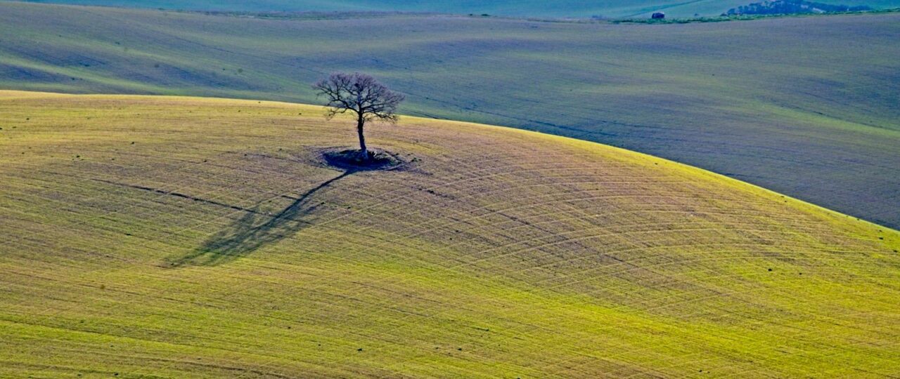 Psychotherapy for Depression