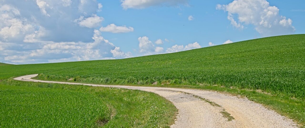 The Journey of Enlightenment